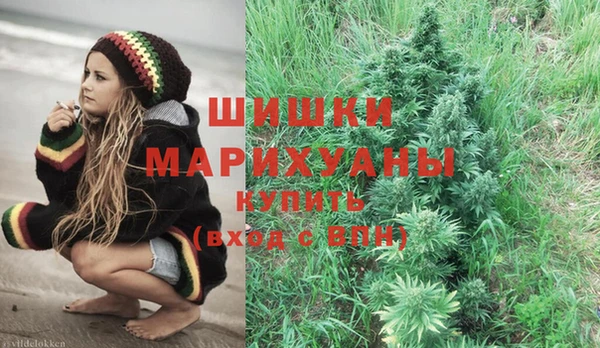 прущая мука Бородино